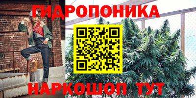 спайс Будённовск