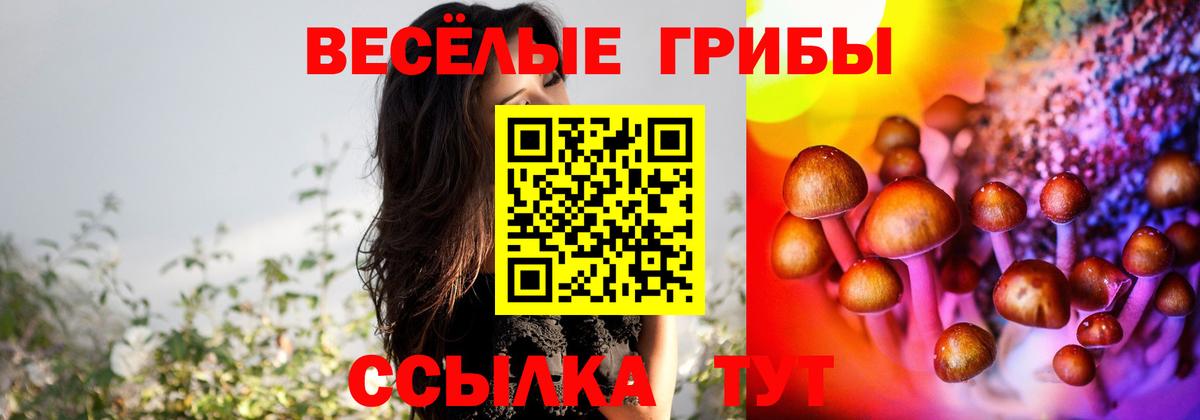 Галлюциногенные грибы ЛСД  Галлюциногенные грибы прущие грибы  Вход с VPN  Рубцовск 